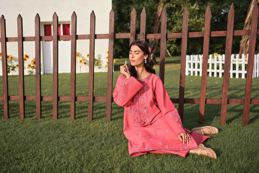 2 piece -Embroidered Suit
